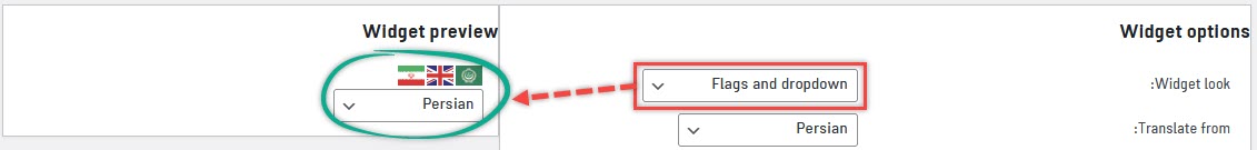 حالت Flags and dropdown