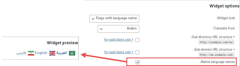 گزینه Native language names