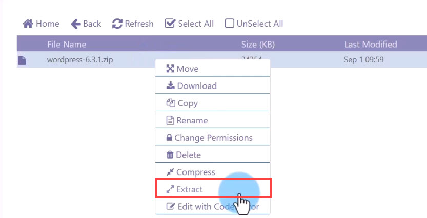 Extreact کردن فایل نصبی وردپرس در هاست