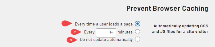 بخش Automatically updating CSS and JS files for a site visitor