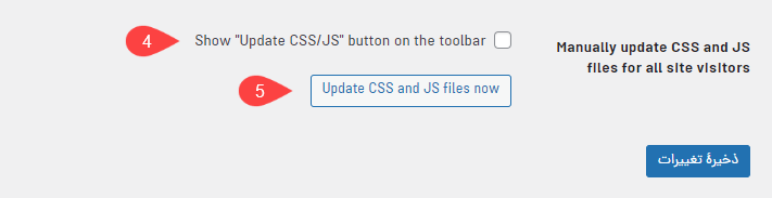 بخش Manually update CSS and JS files for all site visitors