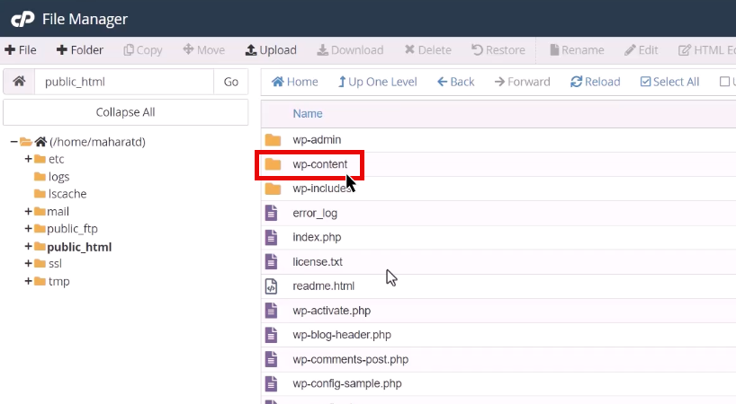 انتخاب پوشه wp-content