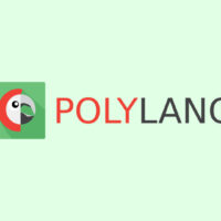 آموزش چند زبانه کردن سایت وردپرس با افزونه Polylang