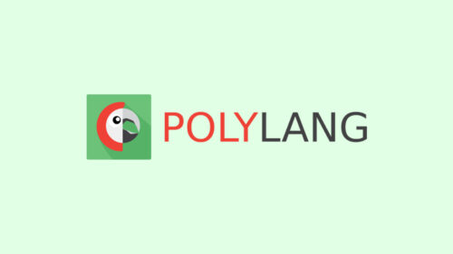 آموزش چند زبانه کردن سایت وردپرس با افزونه Polylang