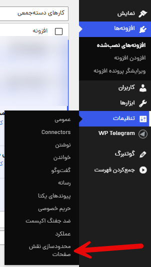 تنظیمات افزونه role-show-page