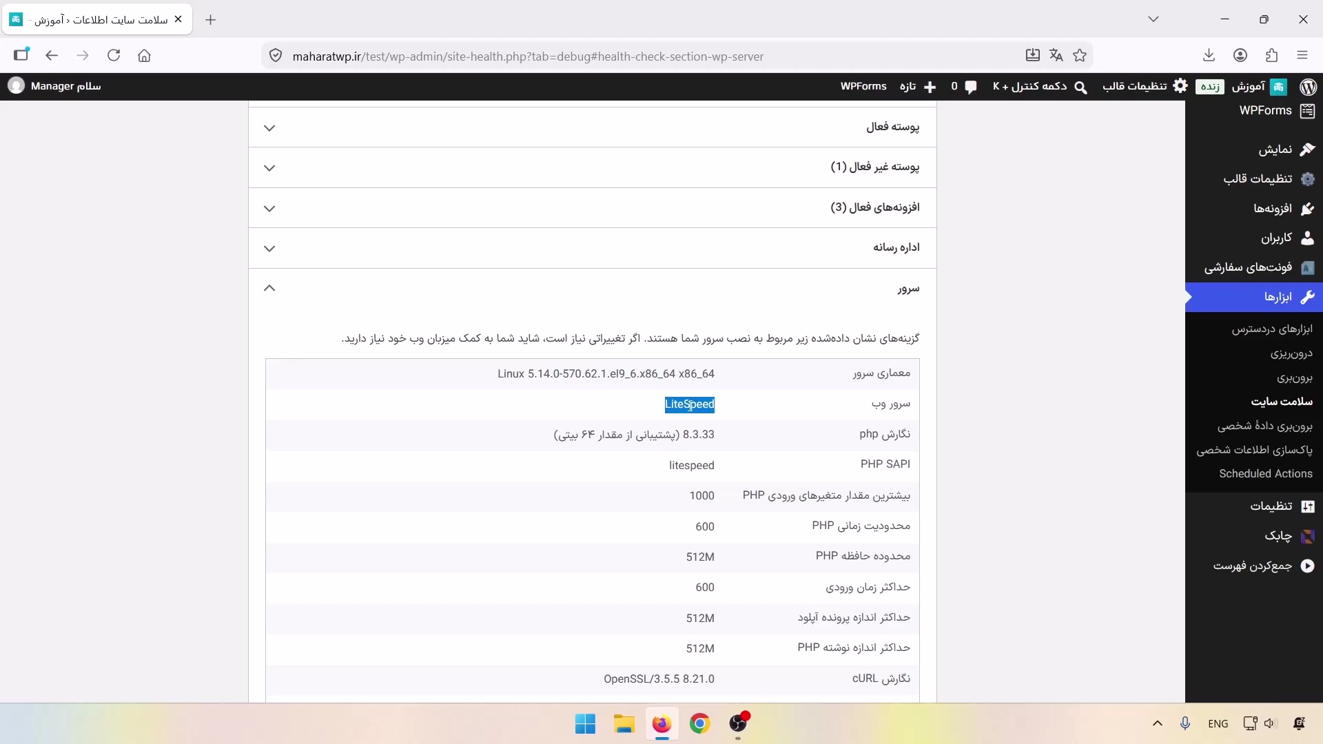 مشخصات سرور و نام LiteSpeed در سلامت سایت وردپرس