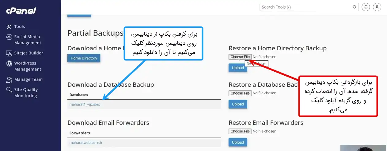 دانلود و بازیابی بکاپ دیتابیس در سی پنل