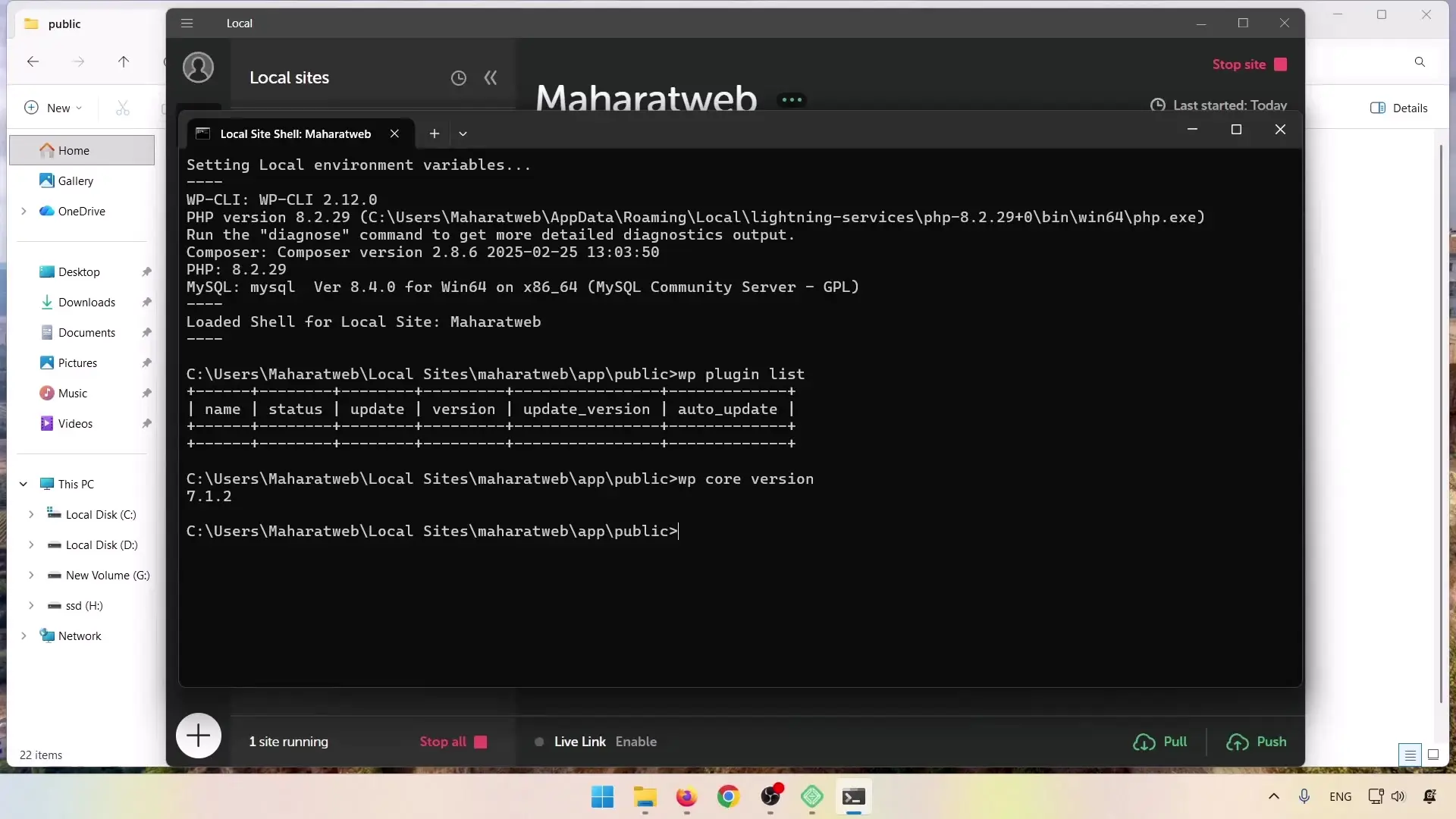 اجرای دستورات WP CLI در Site Shell نرم‌افزار LocalWP